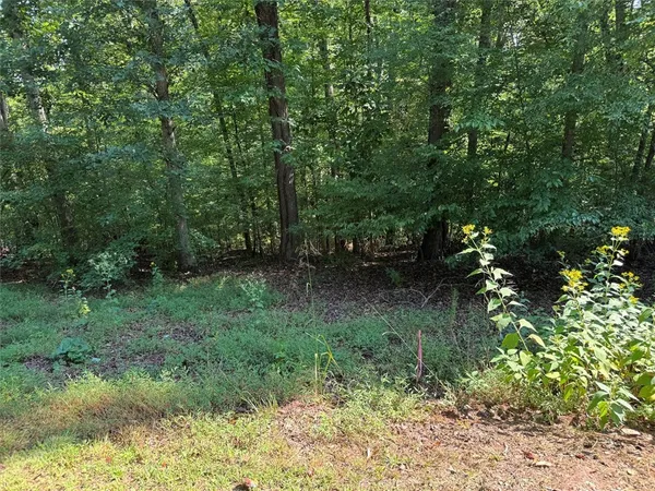 $45,000 | 0 Martin Lake Drive, Seneca, SC 29678