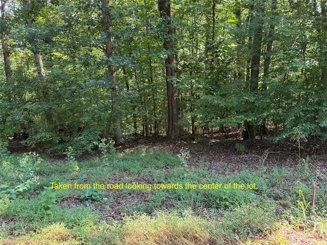 $45,000 | 0 Martin Lake Drive, Seneca, SC 29678