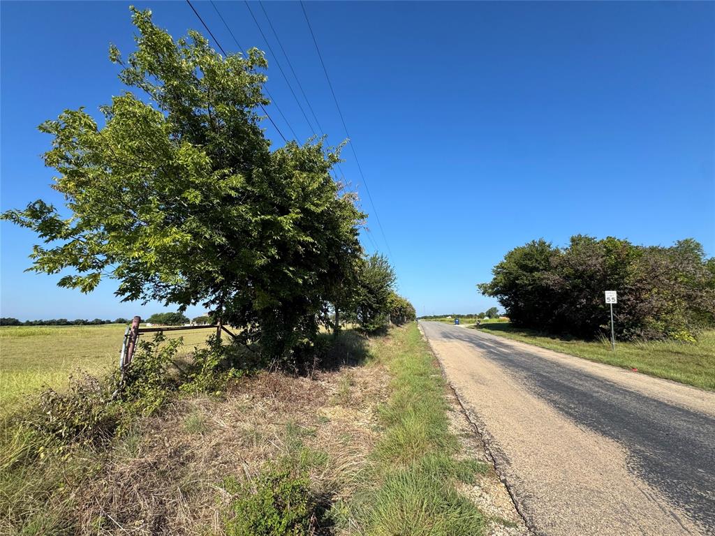 Lot 2-919 West Hillyard Road Troy, TX 76579 - Photo 9 of 9 a view of a yard with plants and a trees