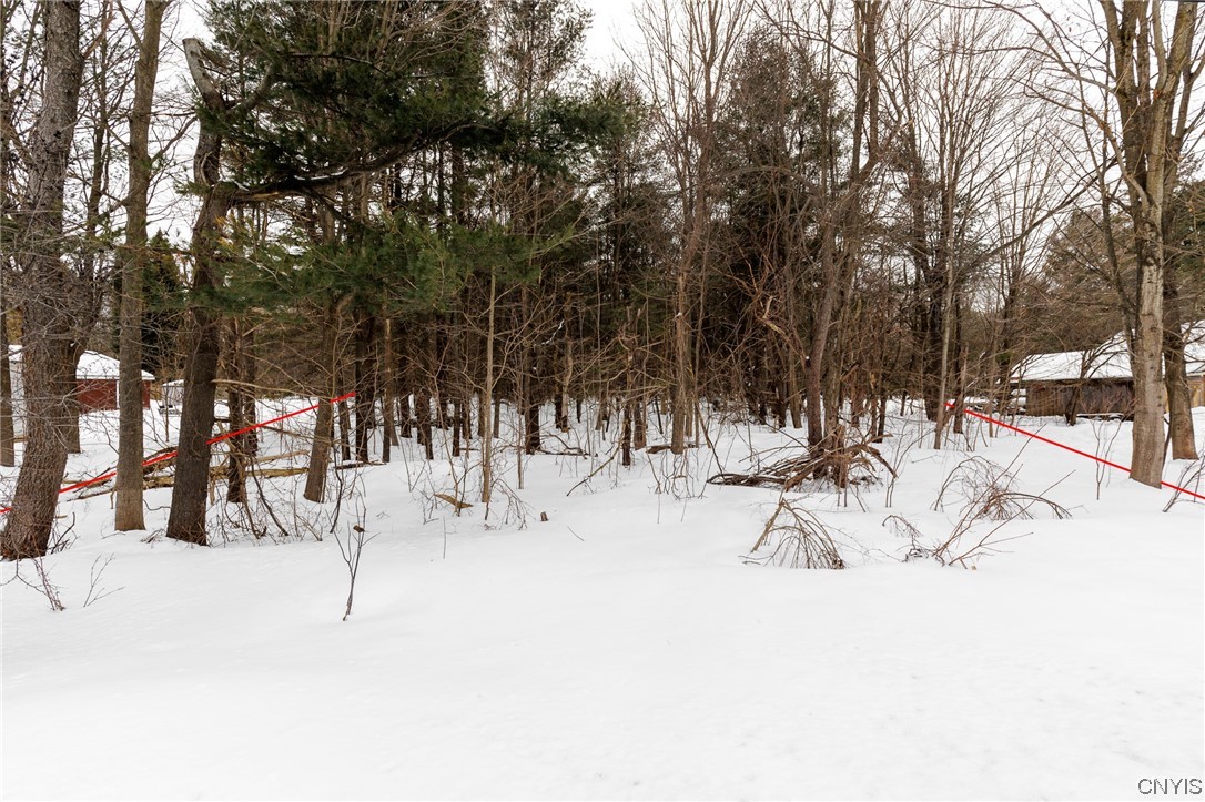 0 Nys Route Carthage, NY 13619 - Photo 1 of 1