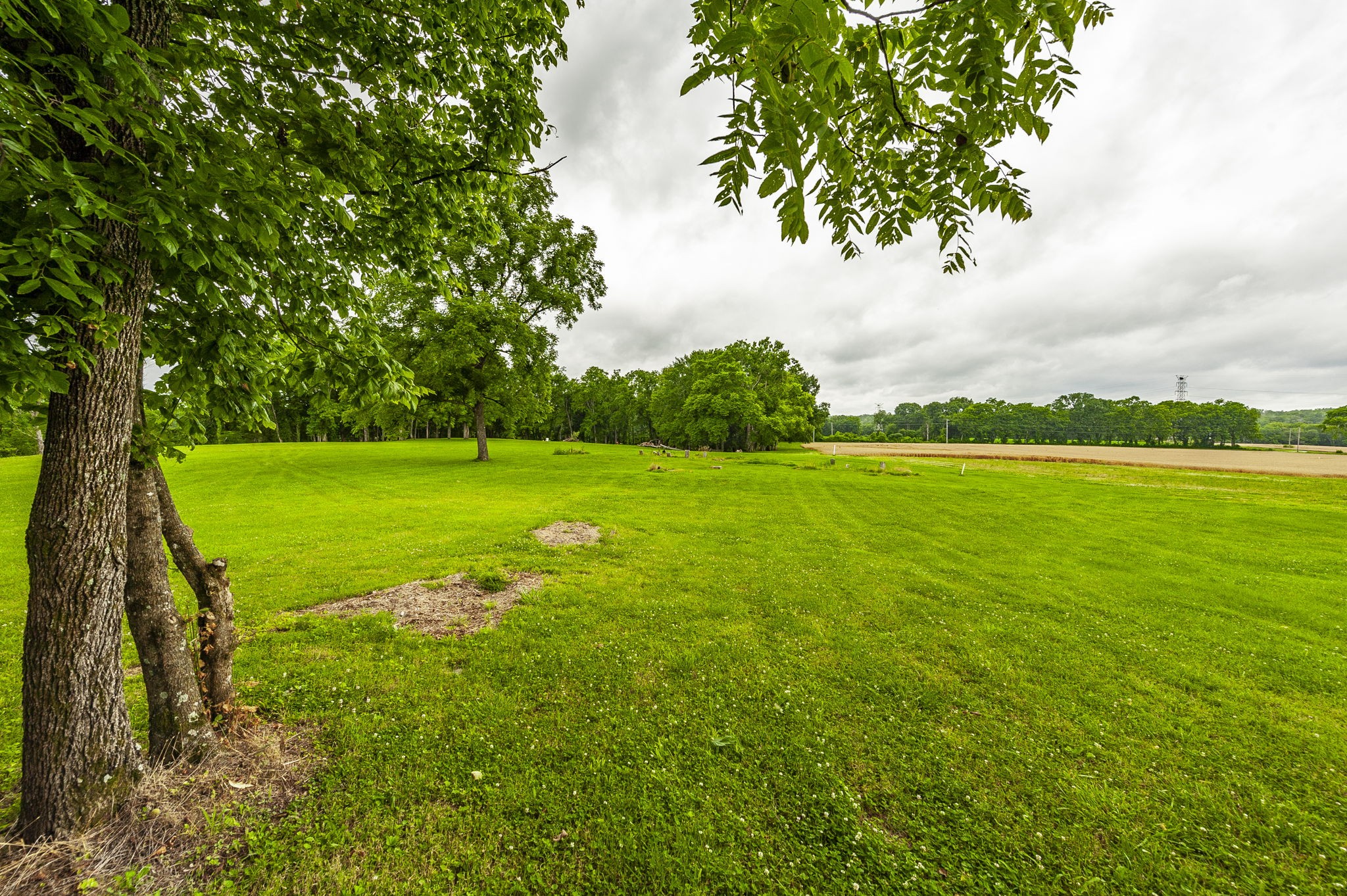 1113 East Robertson Road Castalian Springs, TN 37031 - Photo 29 of 56