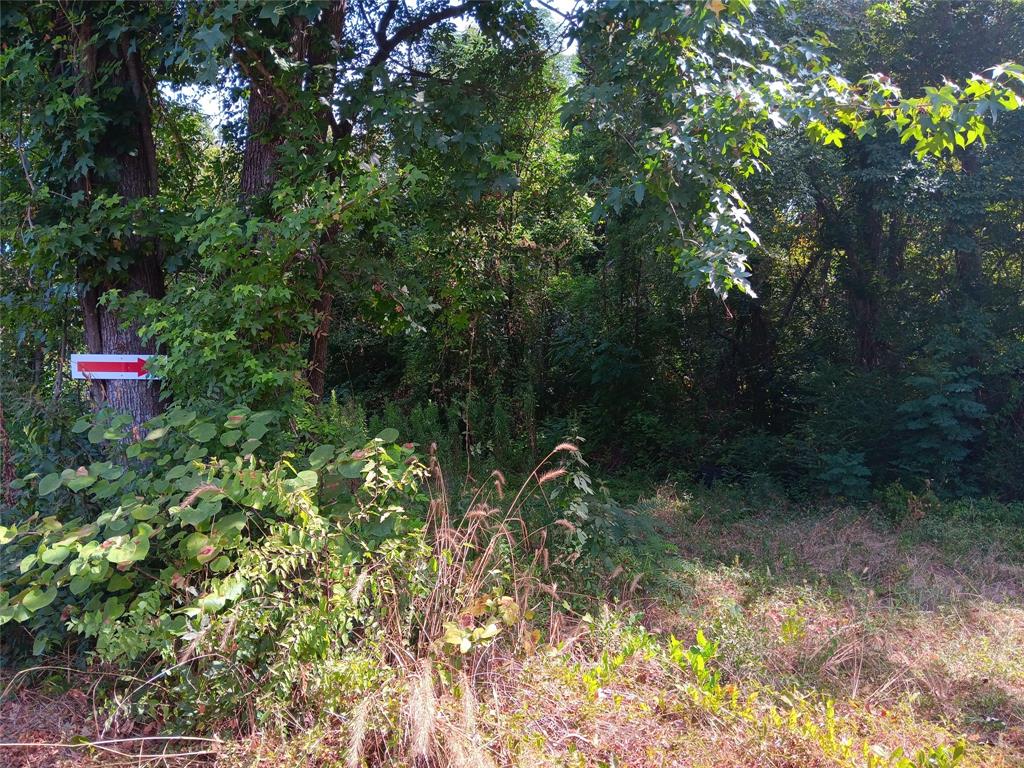 View of landscape