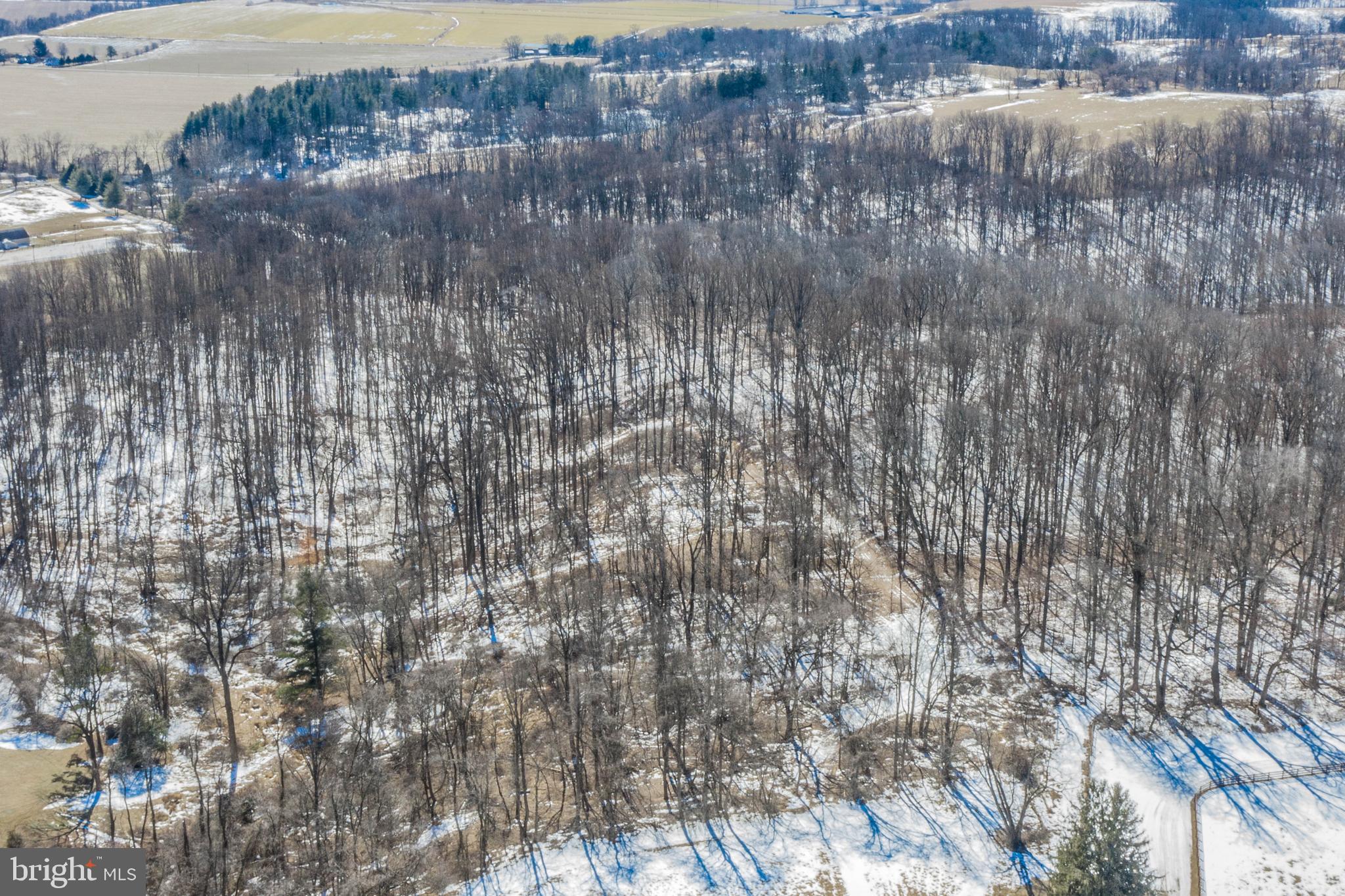 Patterson Farm Road Baldwin, MD 21013 - Photo 1 of 27