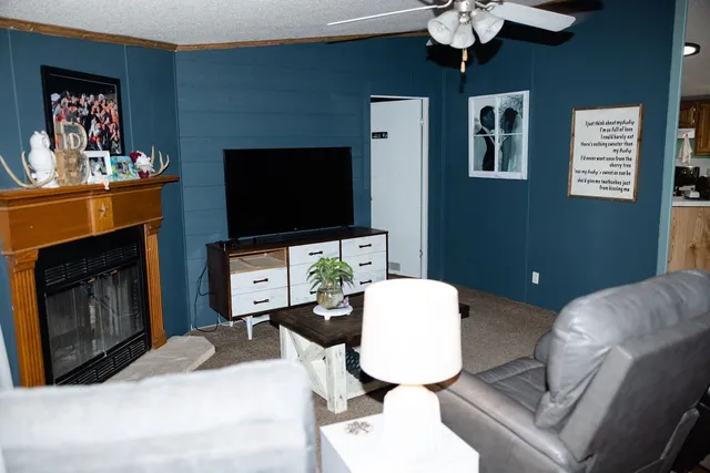 a living room with furniture a fireplace and a flat screen tv
