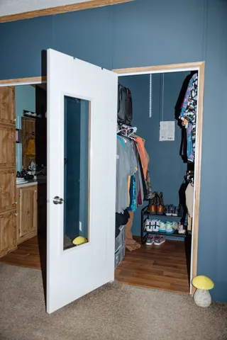 a view of living room with furniture and closet
