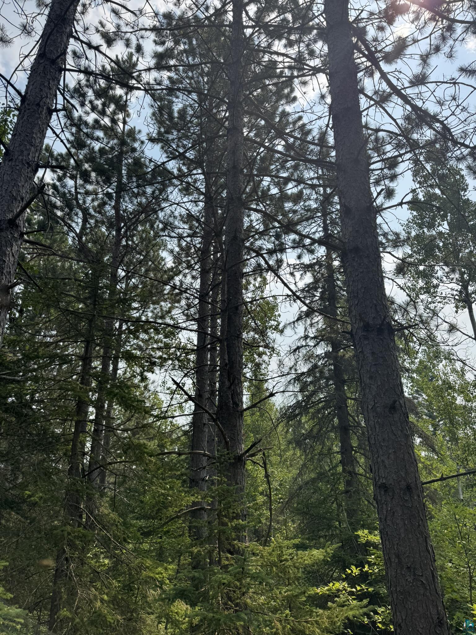 Xx Xx High Ridge Drive Silver Bay, MN 55614 - Photo 24 of 29