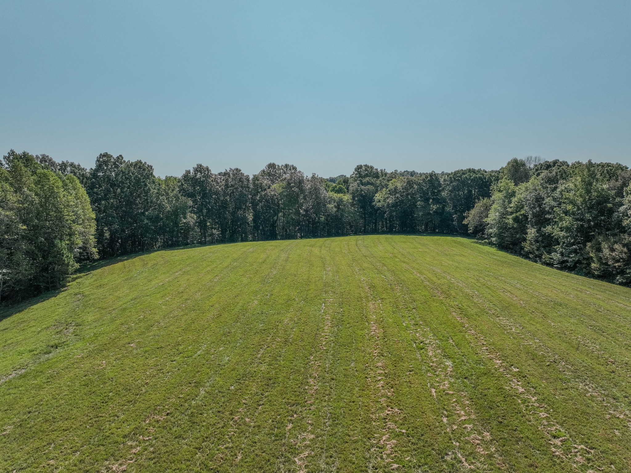 373 Mayfield Road Pulaski, TN 38478 - Photo 12 of 17 a view of a big yard with an outdoor space