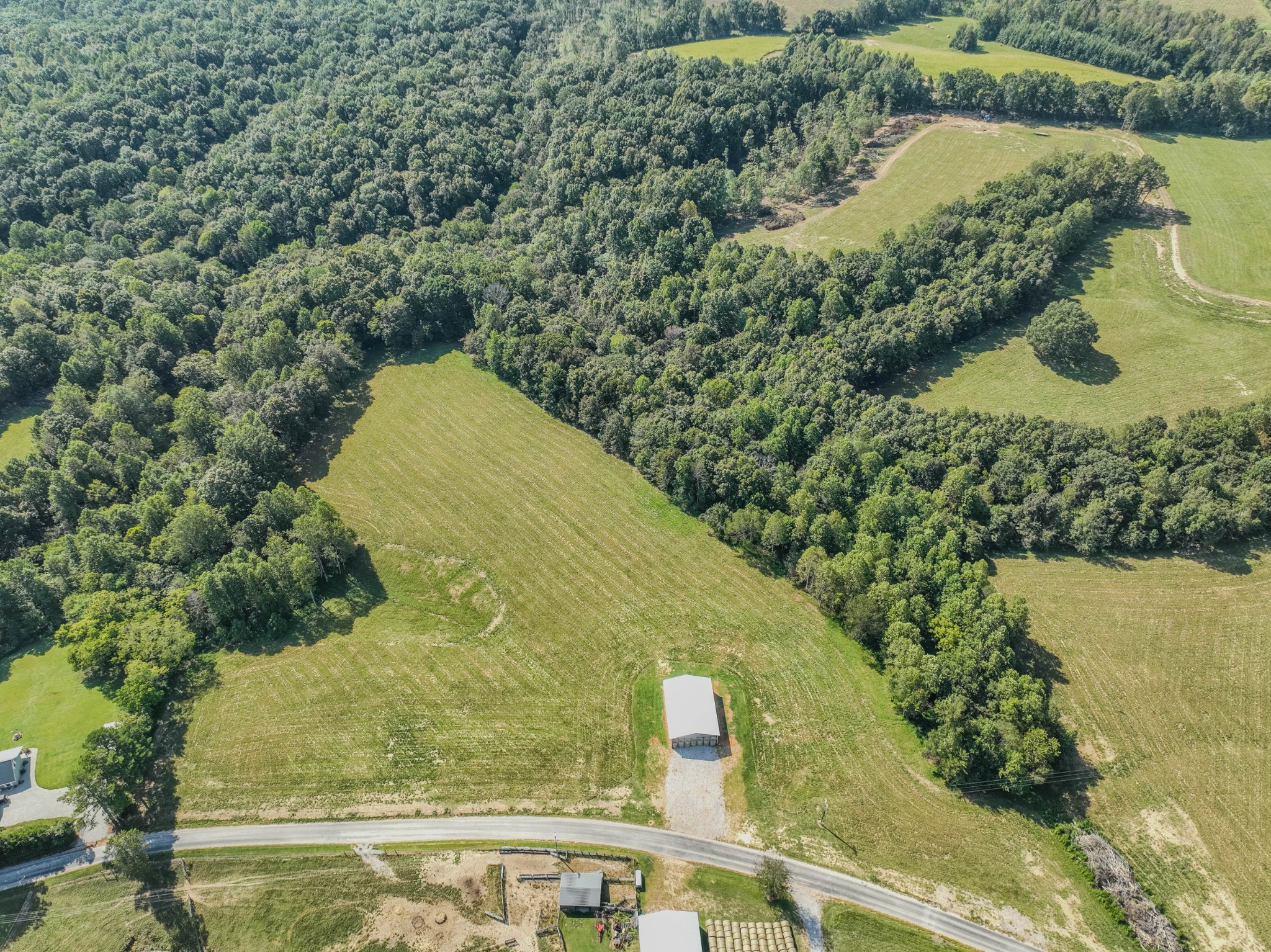 373 Mayfield Road Pulaski, TN 38478 - Photo 13 of 17 a view of a swimming pool with a yard and large trees