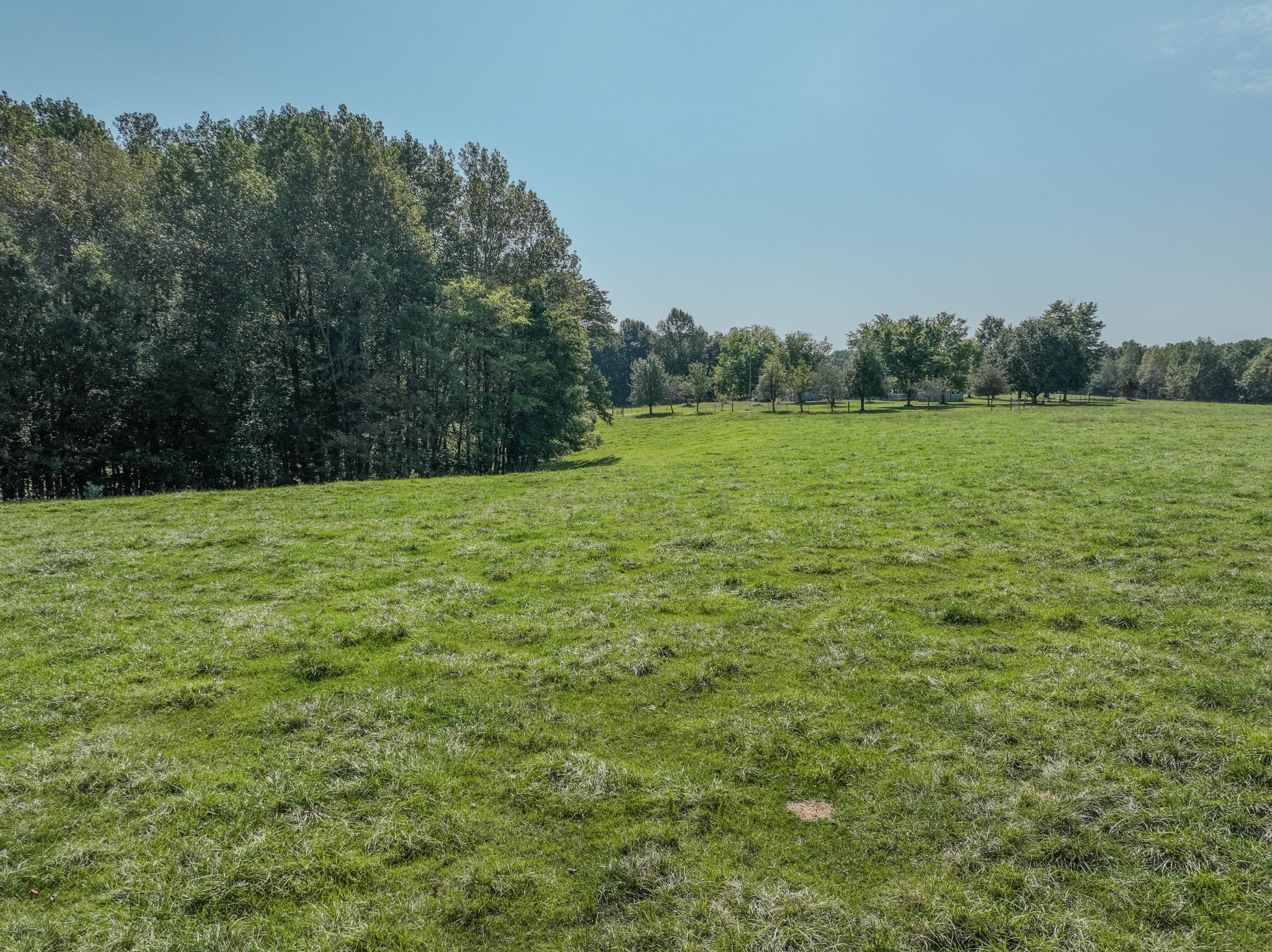 373 Mayfield Road Pulaski, TN 38478 - Photo 16 of 17 a view of an outdoor space and a yard