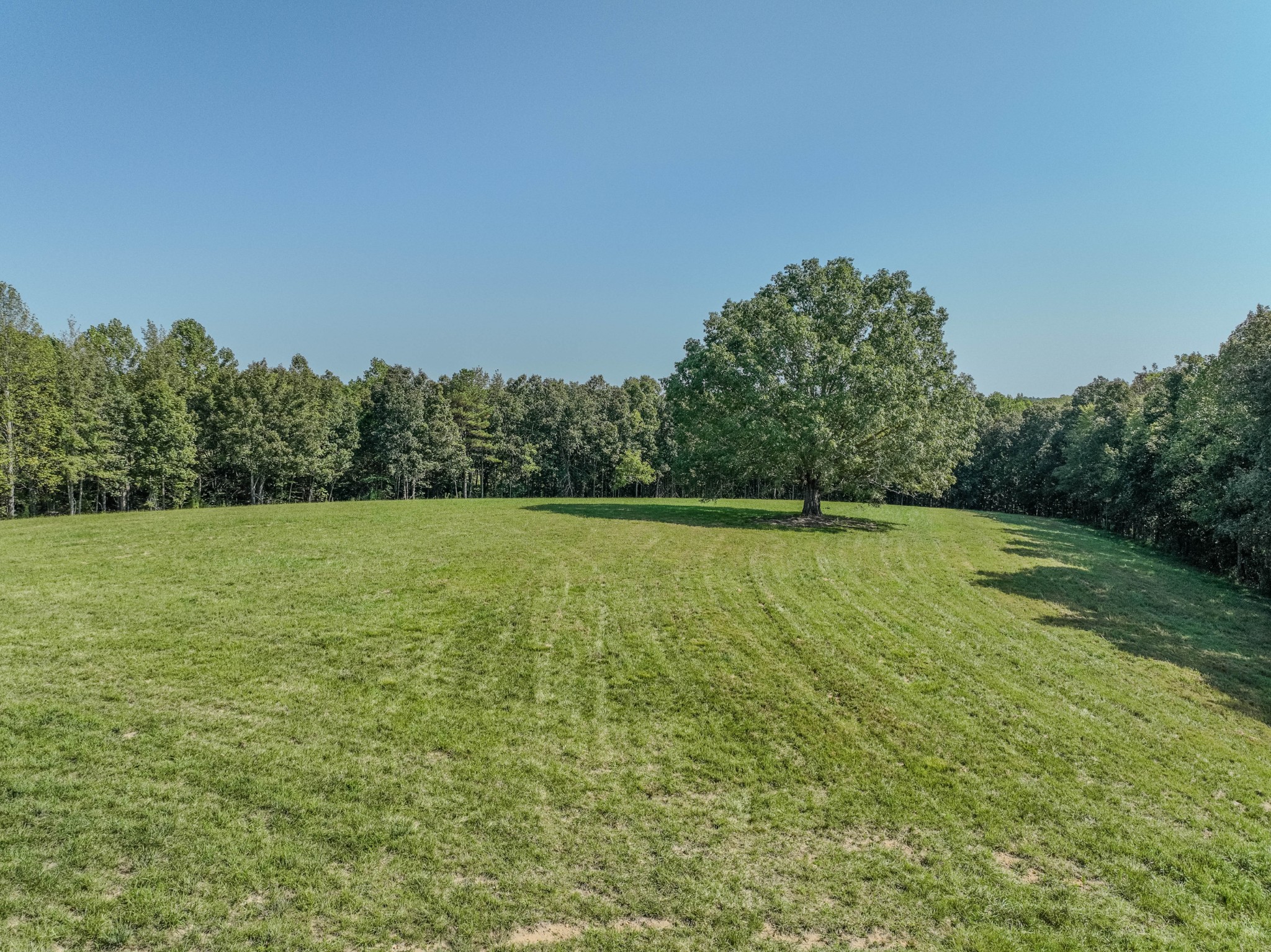 373 Mayfield Road Pulaski, TN 38478 - Photo 2 of 17 a view of a green yard