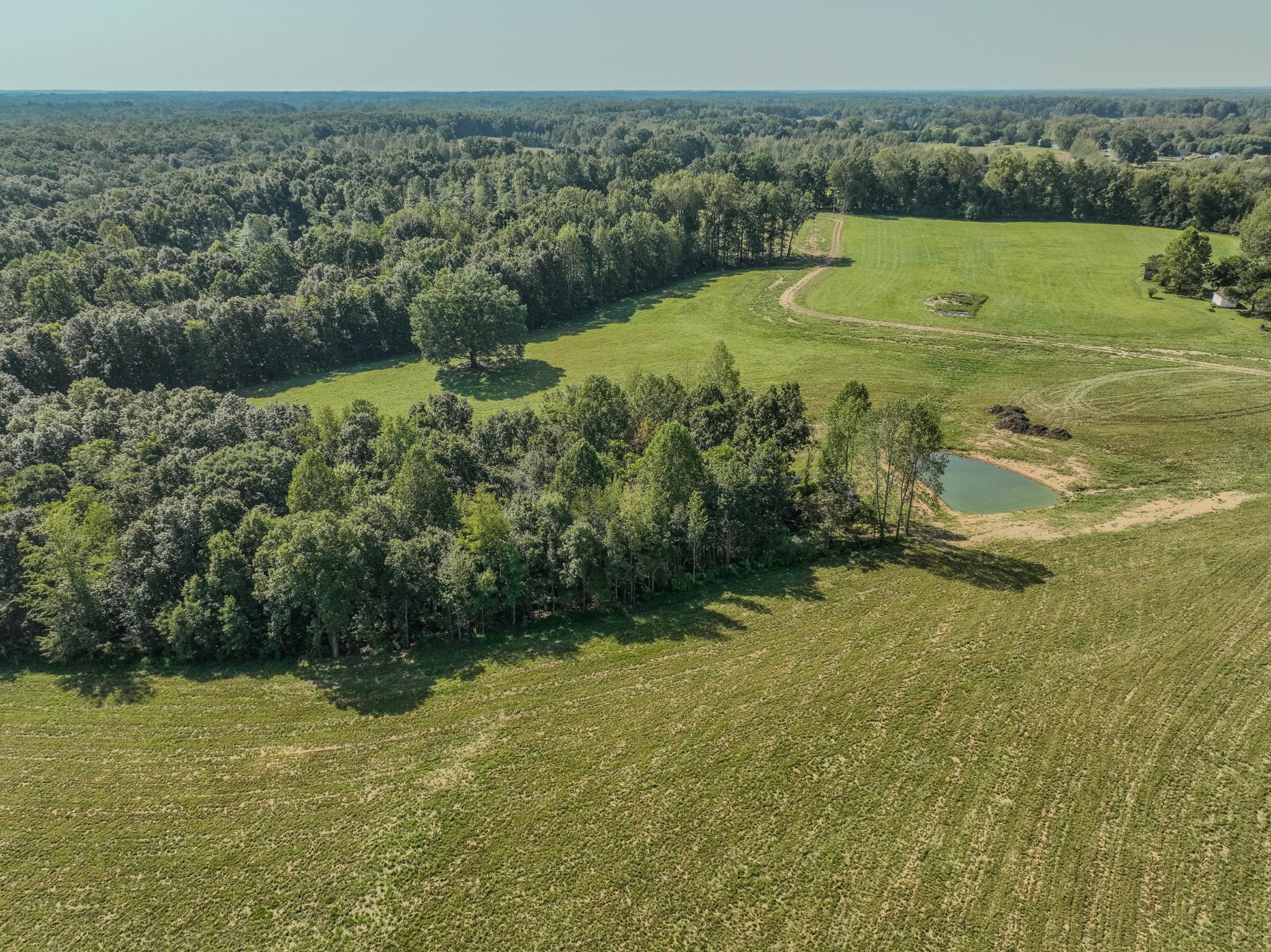 373 Mayfield Road Pulaski, TN 38478 - Photo 7 of 17 a view of a field with an ocean