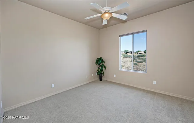 a view of a lush green field with lots of plants in the background