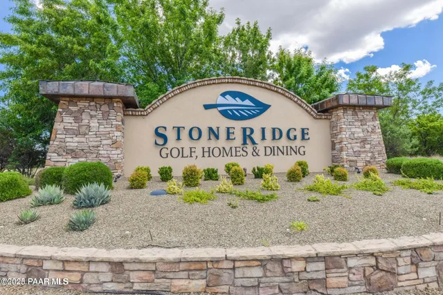 a view of a forest with a mountain