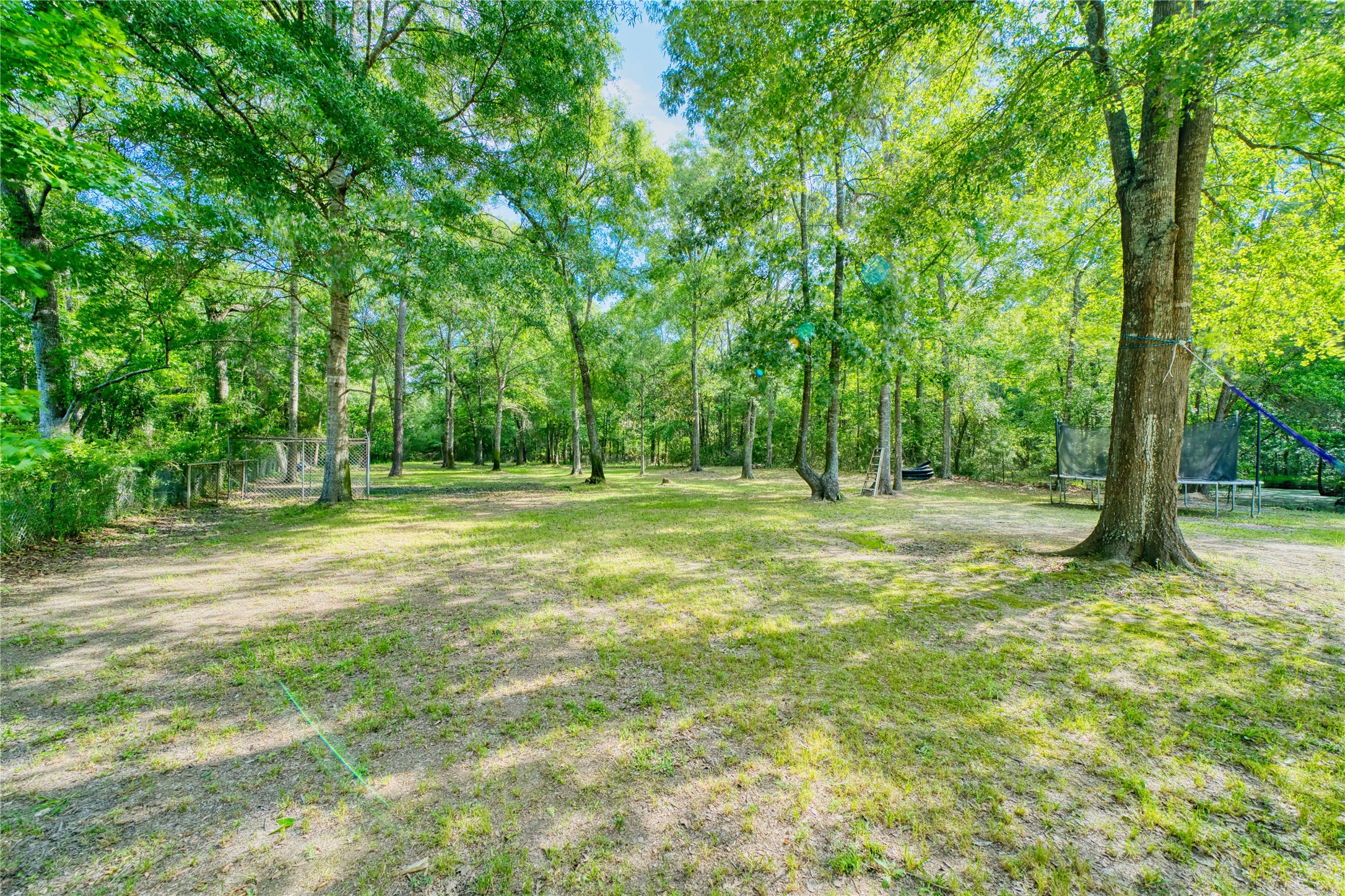 103 County Road 370 Splendora, TX 77372 - Photo 29 of 32 a view of outdoor space with trees all around