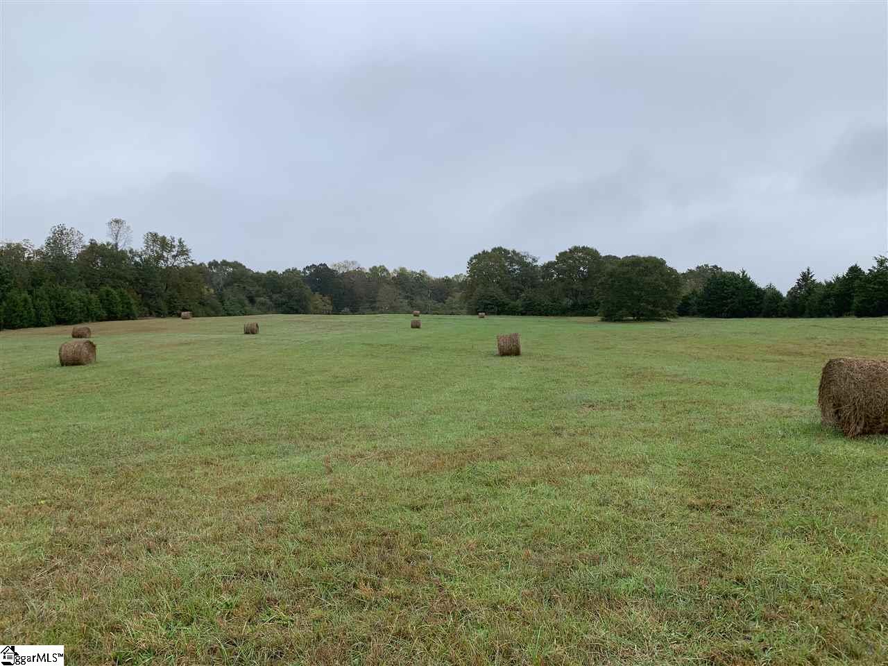 2551 Hellams Road Gray Court, SC 29645 - Photo 8 of 29