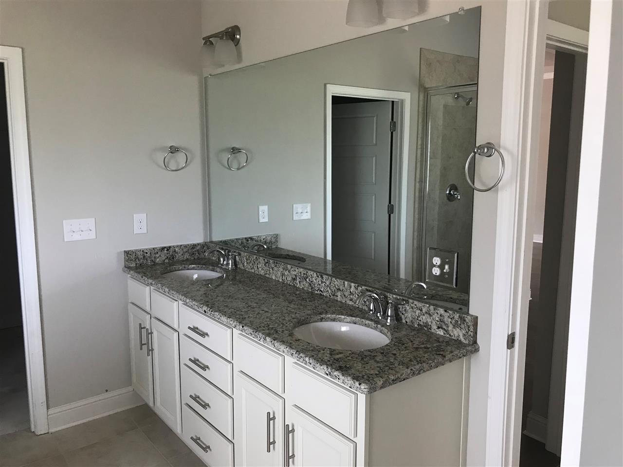 12341 Pecan Grove Street Foley, AL 36535 - Photo 11 of 17 master vanity