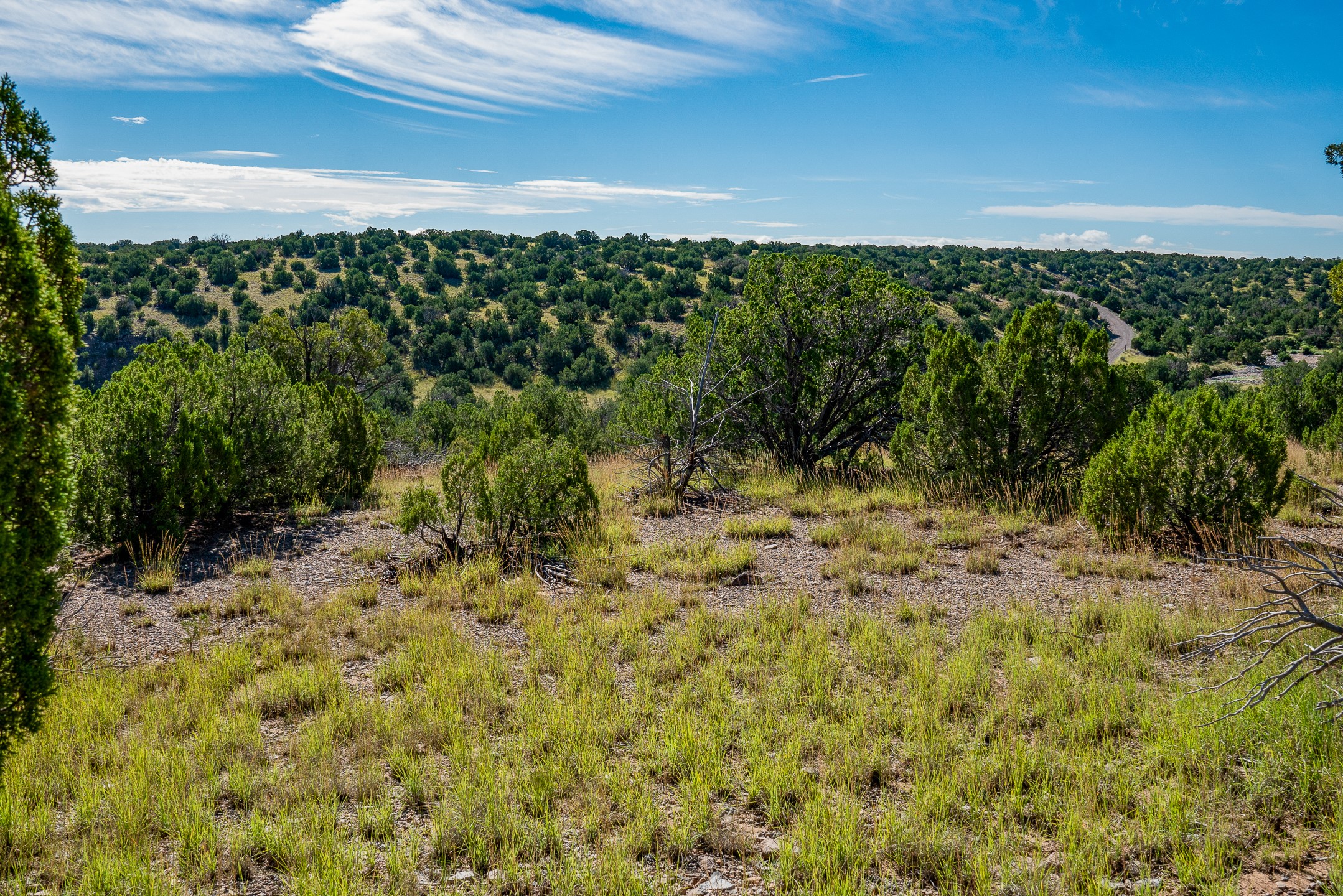 95 Grenfell Ranch Road Cerrillos, NM 87010 - Photo 33 of 47