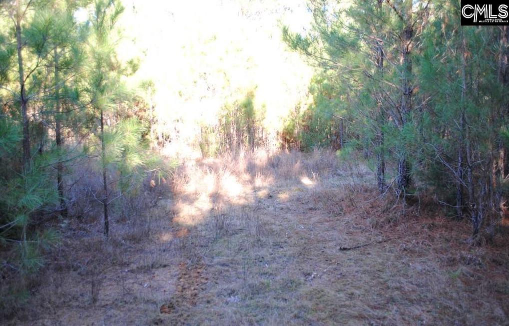 E/s Old Hilton Road Chapin, SC 29036 - Photo 4 of 6