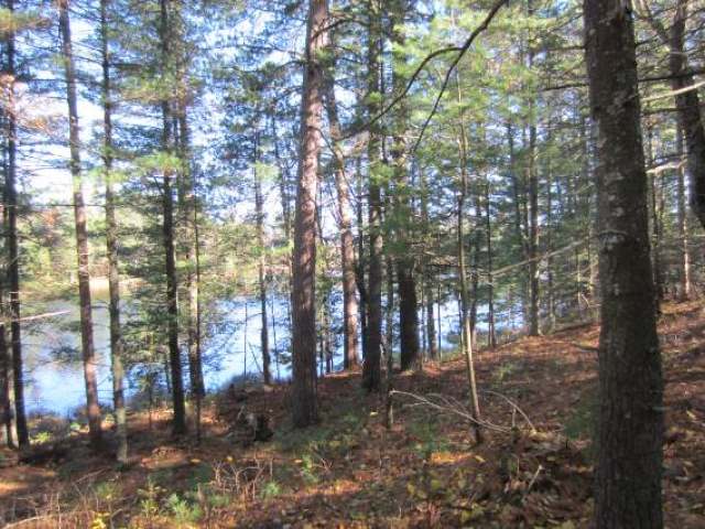12-lots 12-lots Sand Lake Road Mercer, WI 54547 - Photo 2 of 20 Gallery Image 2