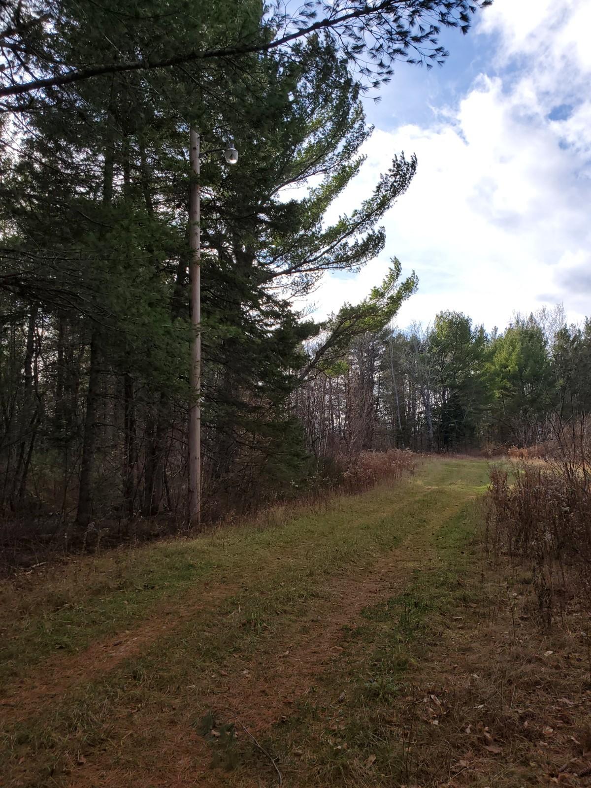 Off Bunny Lane Springfield, ME 04487 - Photo 2 of 9 20201117_104319 (1)