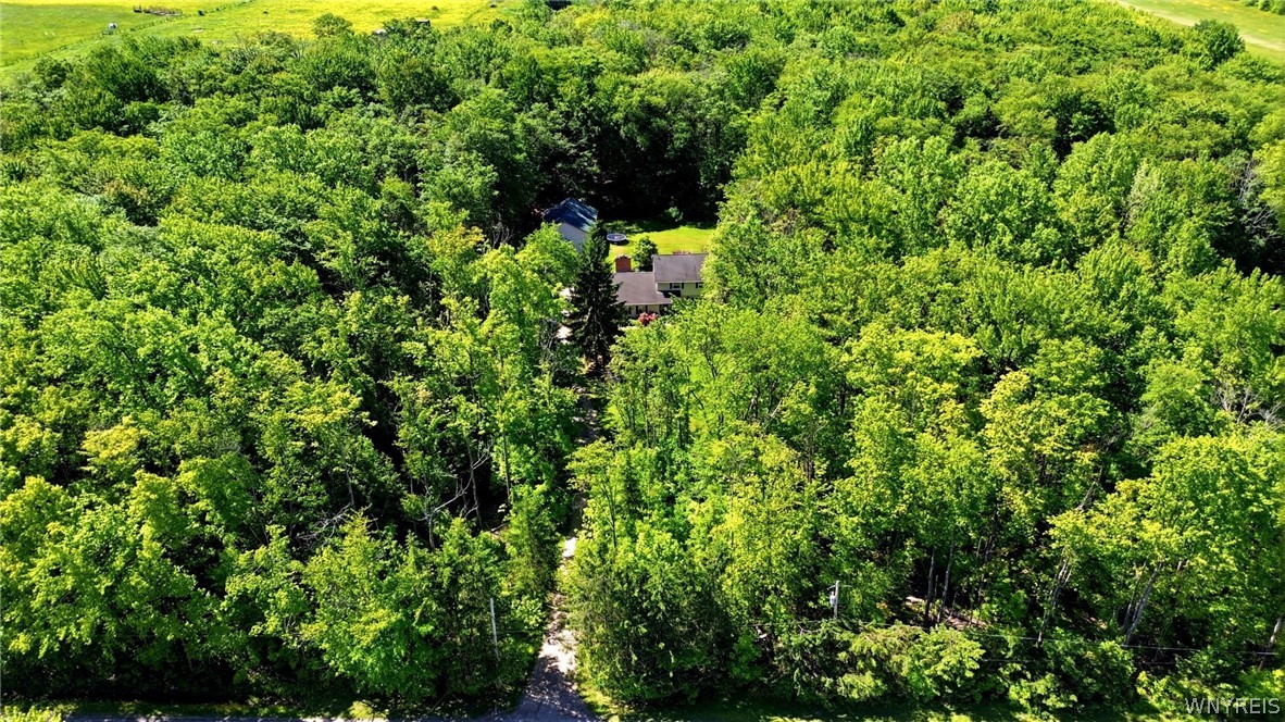 5430 Keller Road Boston, NY 14075 - Photo 43 of 44