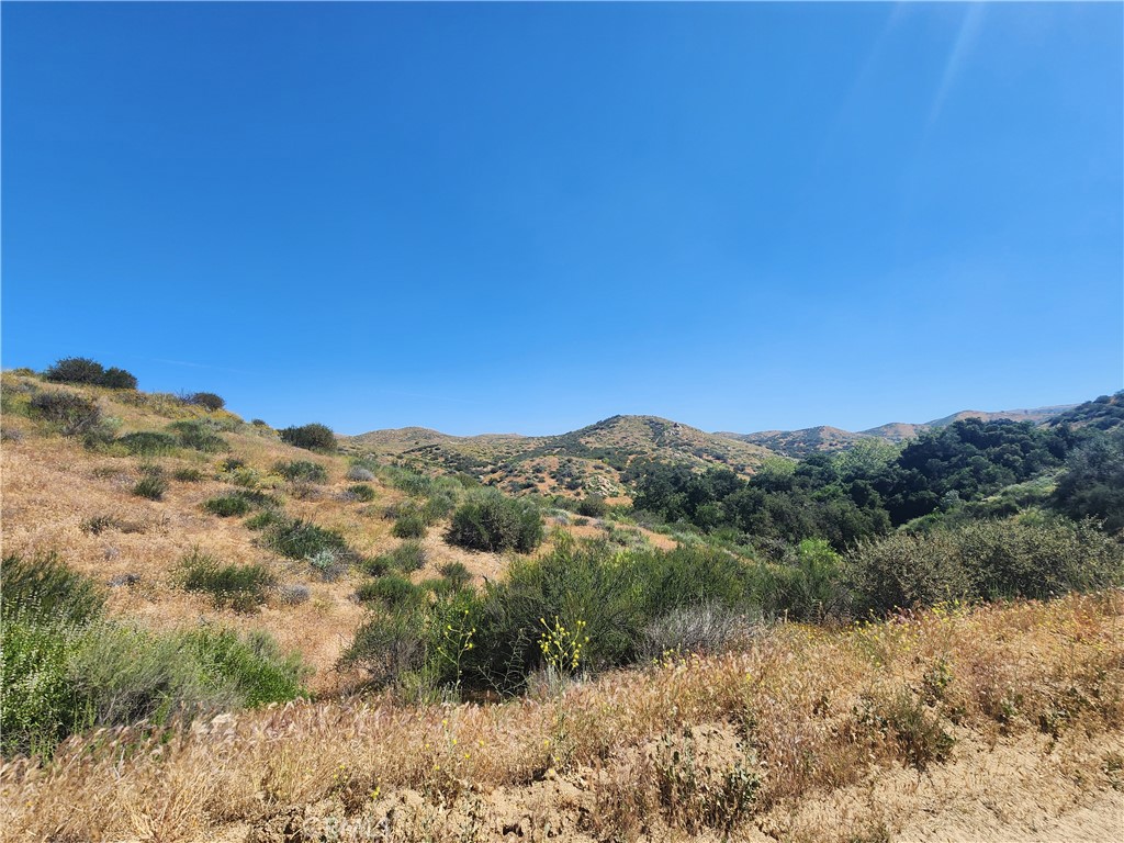 0 Dawson Canyon Road Corona, CA 92883 - Photo 13 of 20 a view of a forest with mountains in the background