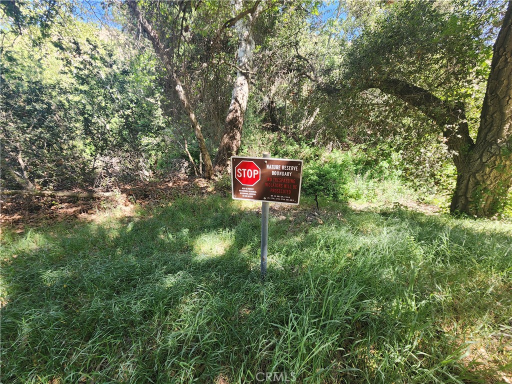 0 Dawson Canyon Road Corona, CA 92883 - Photo 14 of 20 a sign that is sitting in front of a tree