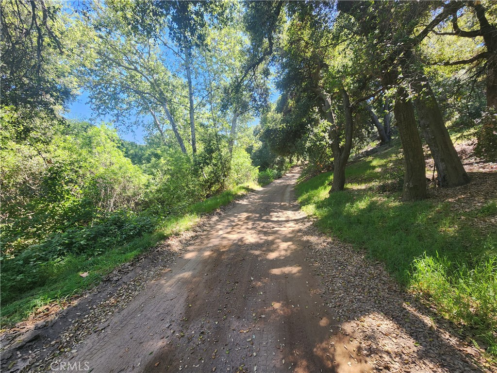 0 Dawson Canyon Road Corona, CA 92883 - Photo 15 of 20 a view of a yard with plants and large trees