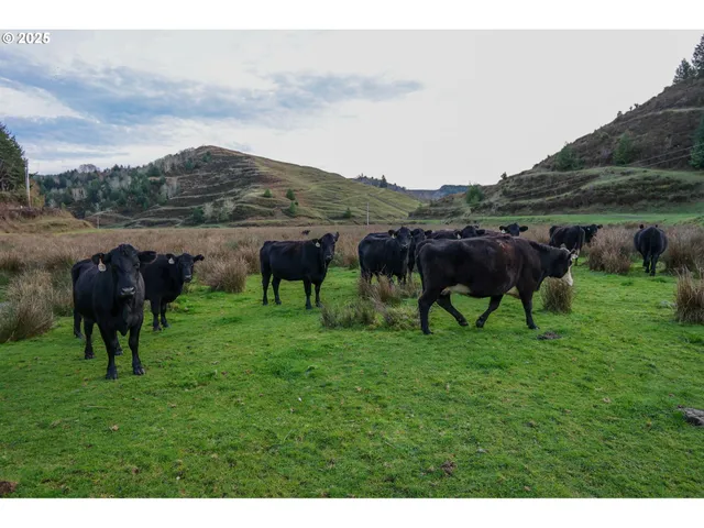 $2,500,000 | 70033 Larsen Ranch Road, North Bend, OR 97459