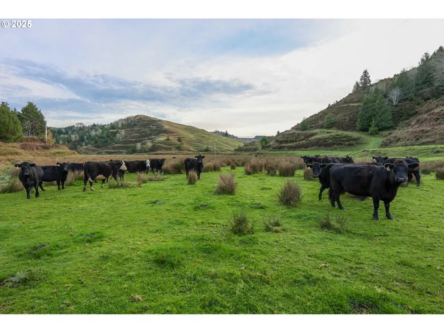 $2,500,000 | 70033 Larsen Ranch Road, North Bend, OR 97459