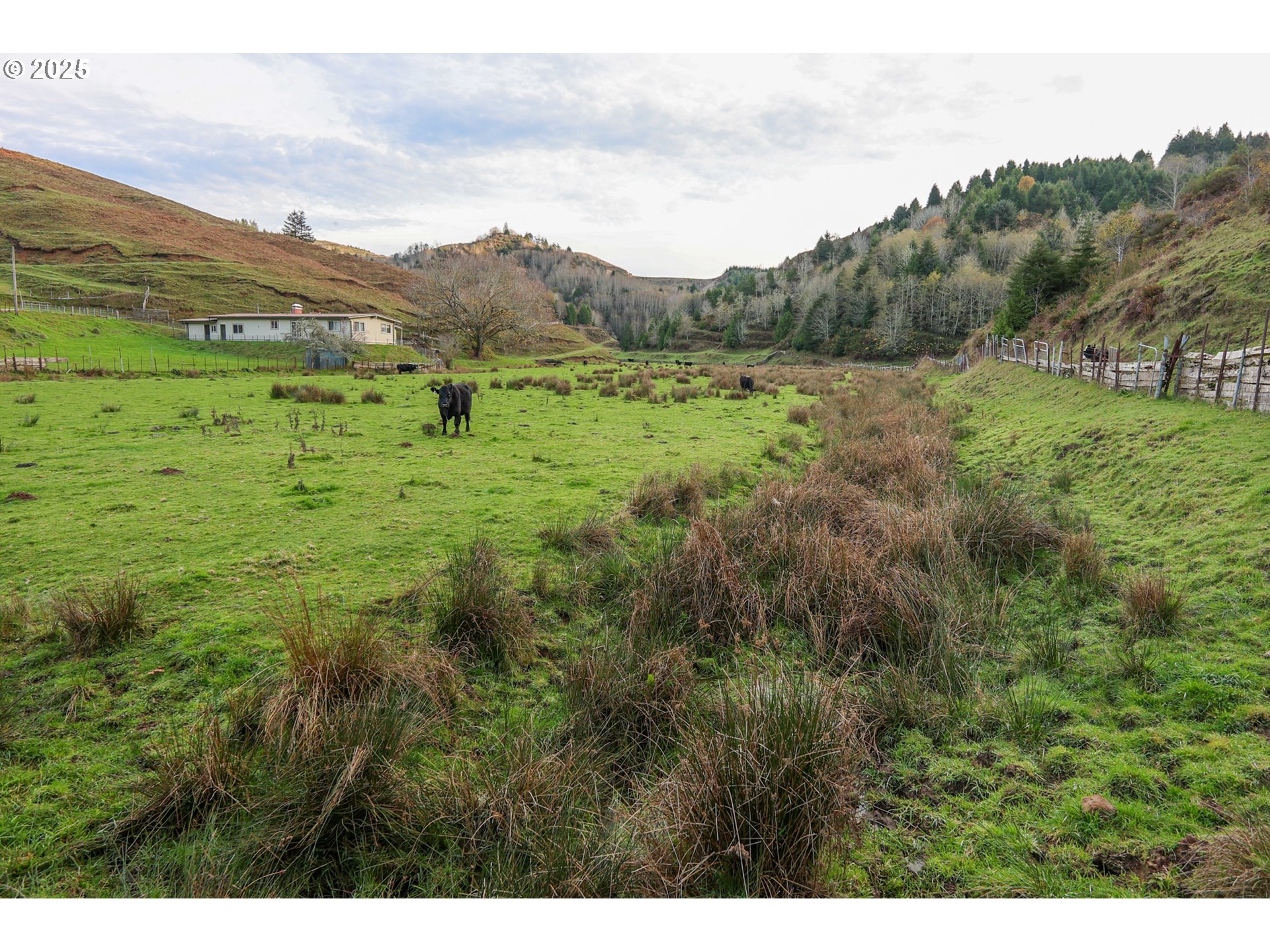70033 Larsen Ranch Road North Bend, OR 97459 - Photo 30 of 40