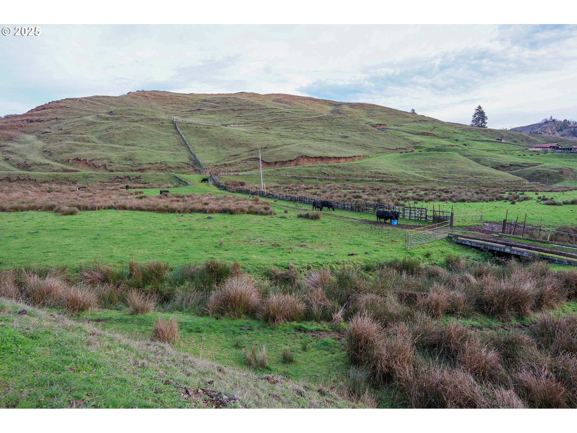 70033 Larsen Ranch Road North Bend, OR 97459 - Photo 31 of 40