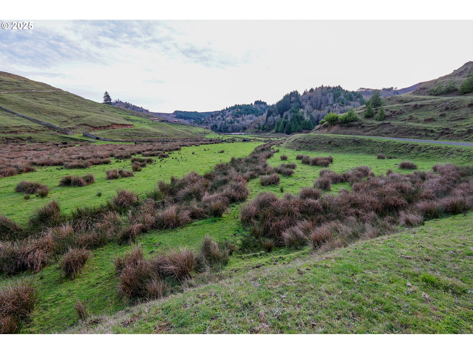 70033 Larsen Ranch Road North Bend, OR 97459 - Photo 32 of 40