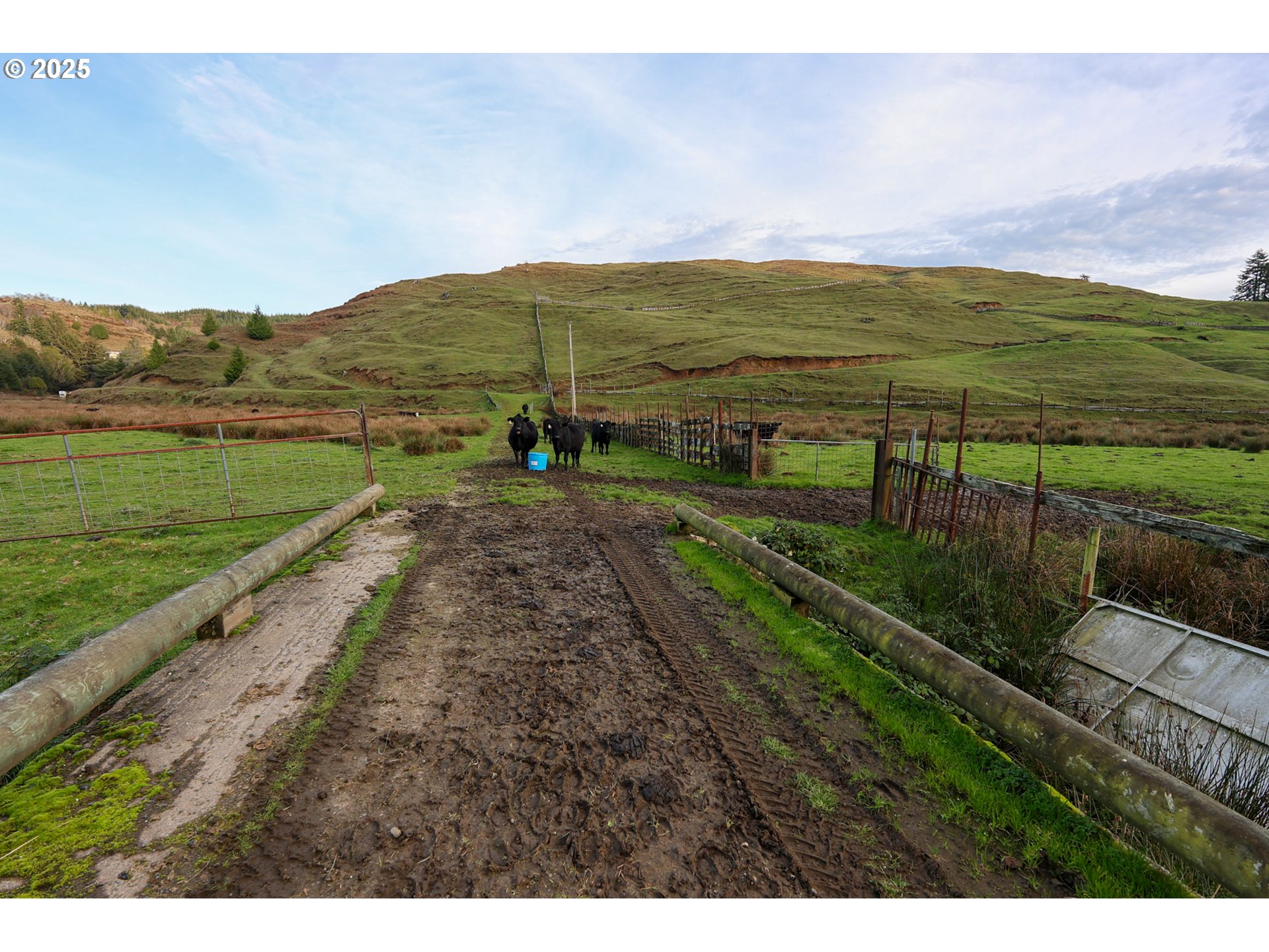 70033 Larsen Ranch Road North Bend, OR 97459 - Photo 35 of 40