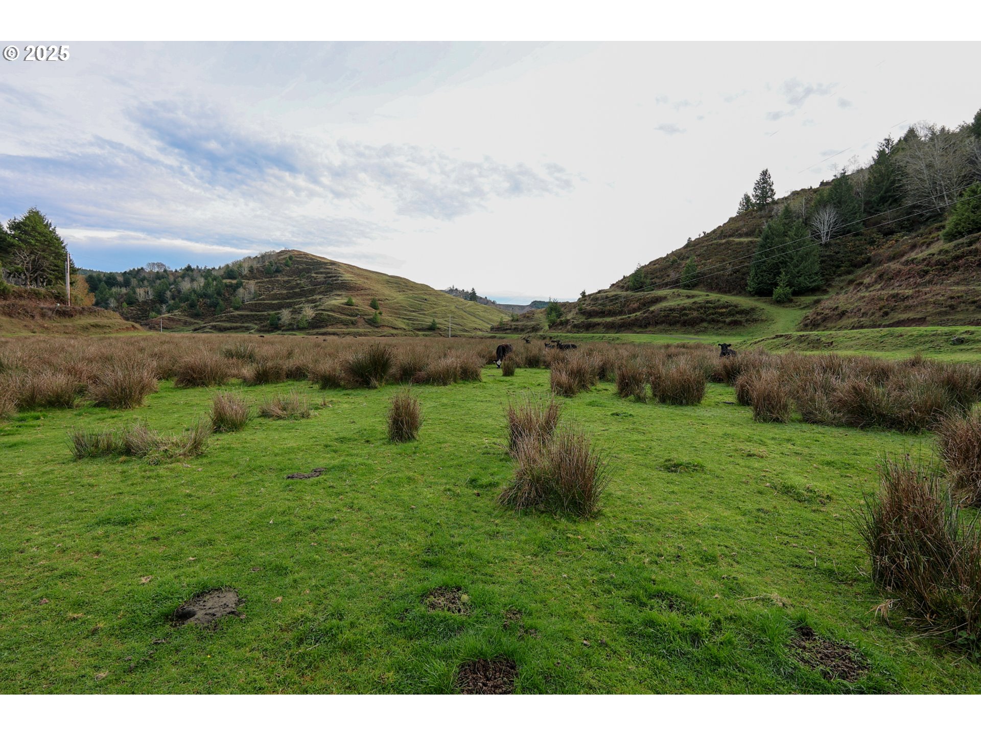 70033 Larsen Ranch Road North Bend, OR 97459 - Photo 36 of 40