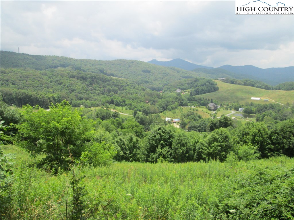 Elk Hill Road Banner Elk, NC 28604 - Photo 4 of 5 a view of a lush green forest with mountains in the background