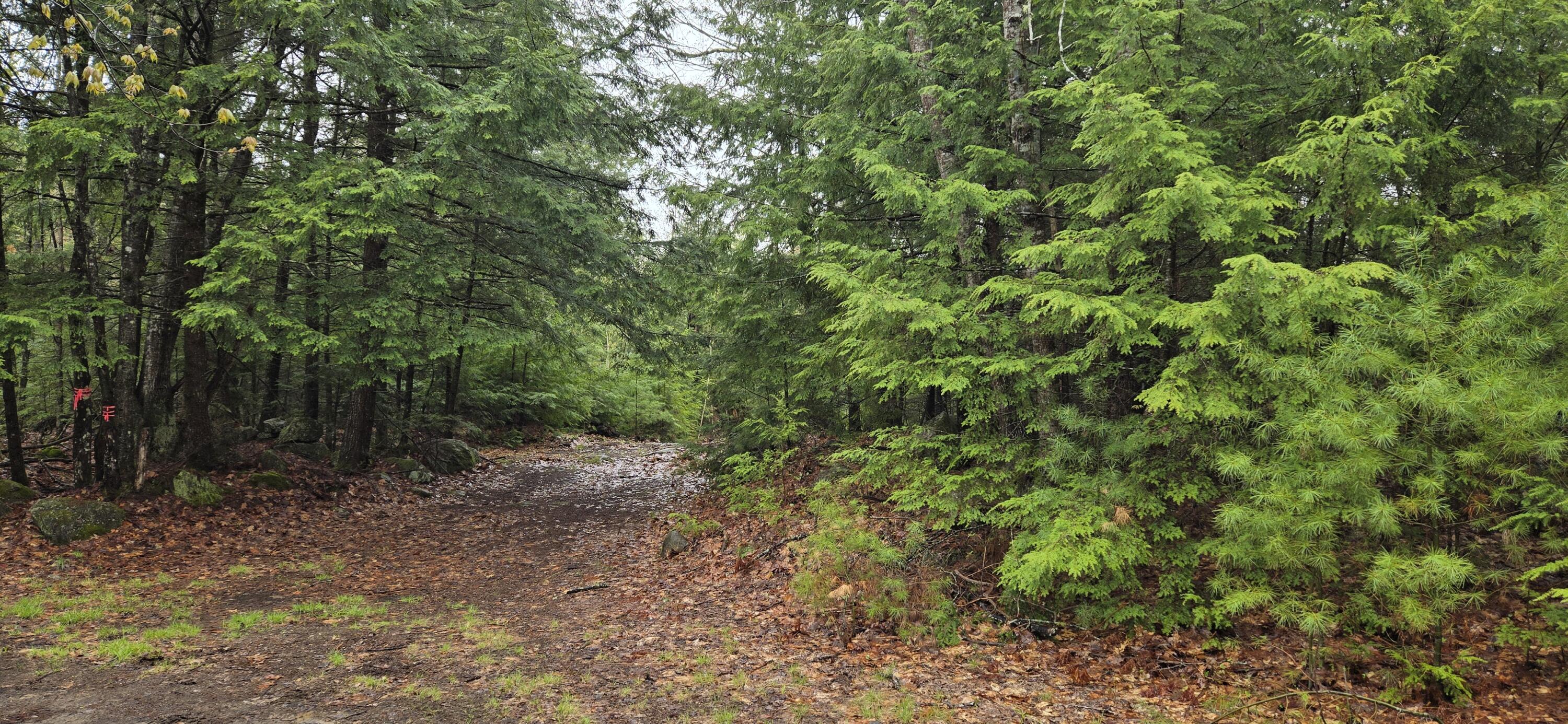 R01-38.4 Parsons Road South Paris, ME 04281 - Photo 1 of 3 20260515_124800