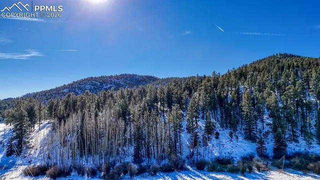 $400,000 | 36 Valley Circle, Guffey, CO 80820