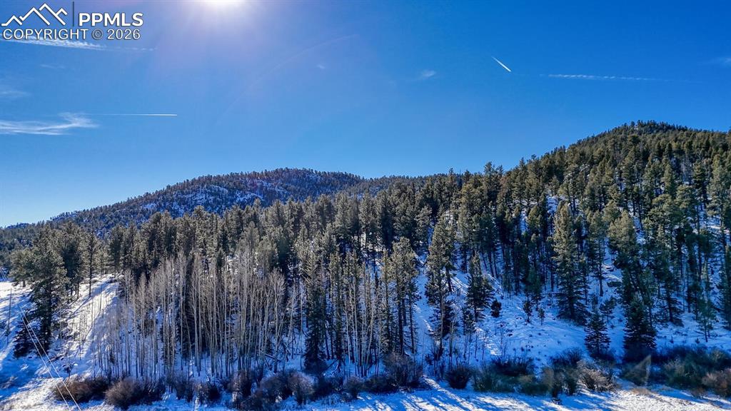36 Valley Circle Guffey, CO 80820 - Photo 24 of 29 a view of a street