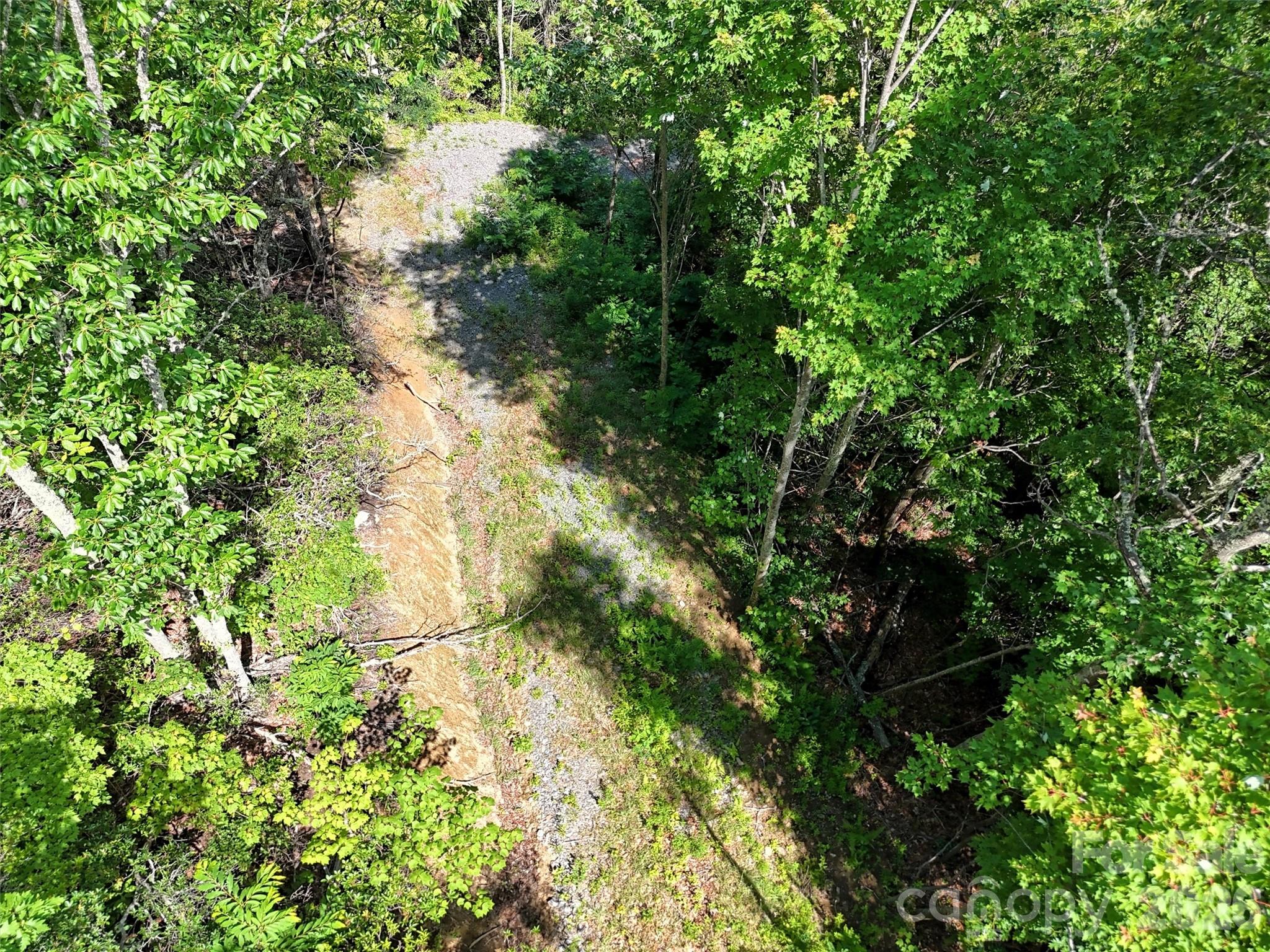 0 Rising Sun Road, Unit 338 Waynesville, NC 28786 - Photo 7 of 18 a backyard of a house with lots of trees
