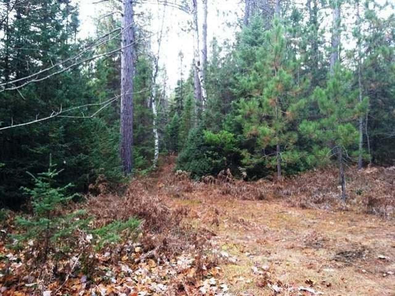 On Fire Lane Road Conover, WI 54519 - Photo 4 of 13 Gallery Image 4