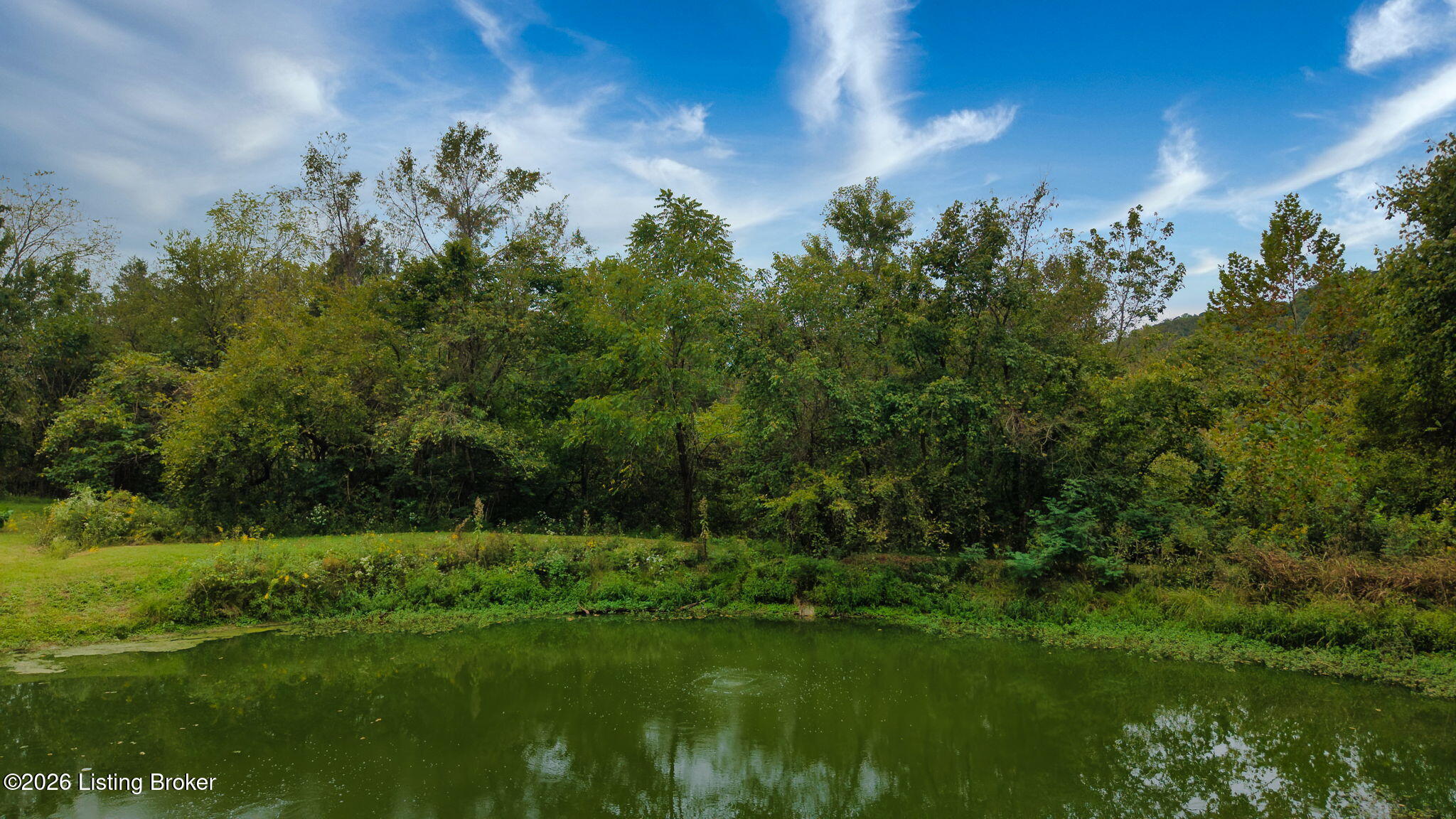 2234 Carlisle Road Carrollton, KY 41008 - Photo 49 of 60 61-web-or-mls-DJI_20260922110645_0069_D-