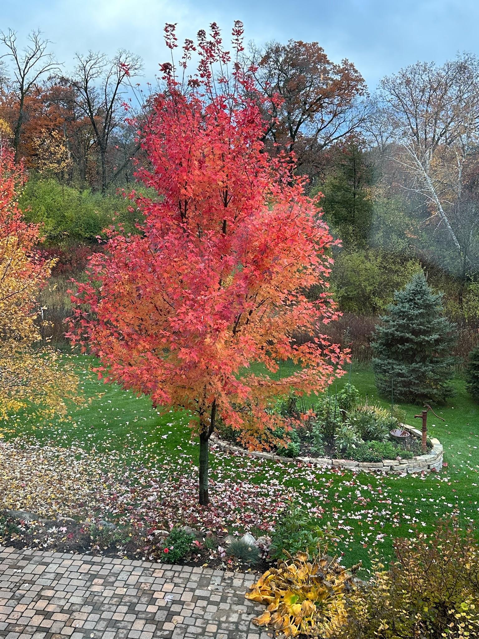 1430 25th Street Houlton, WI 54082 - Photo 55 of 80