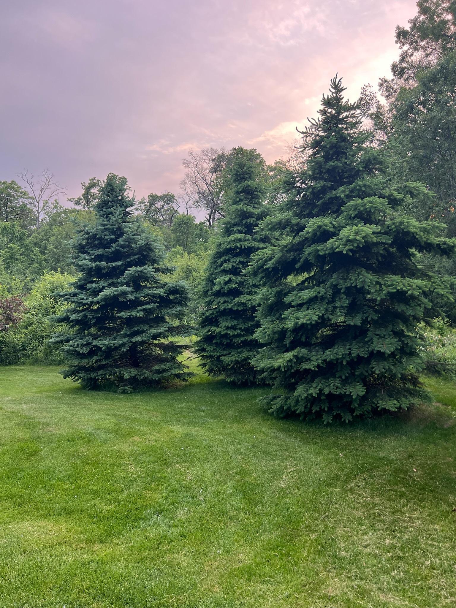 1430 25th Street Houlton, WI 54082 - Photo 64 of 80