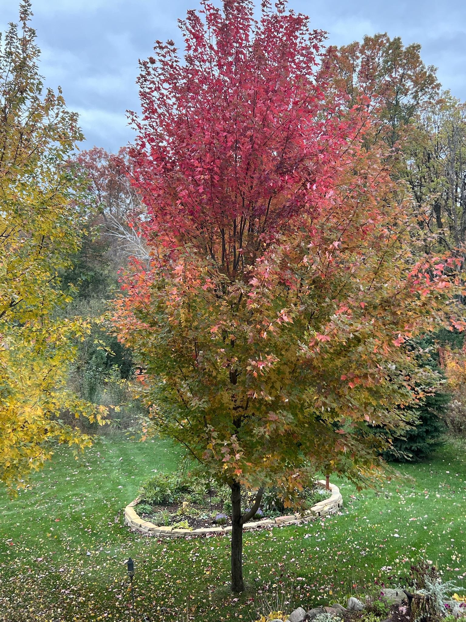 1430 25th Street Houlton, WI 54082 - Photo 73 of 80