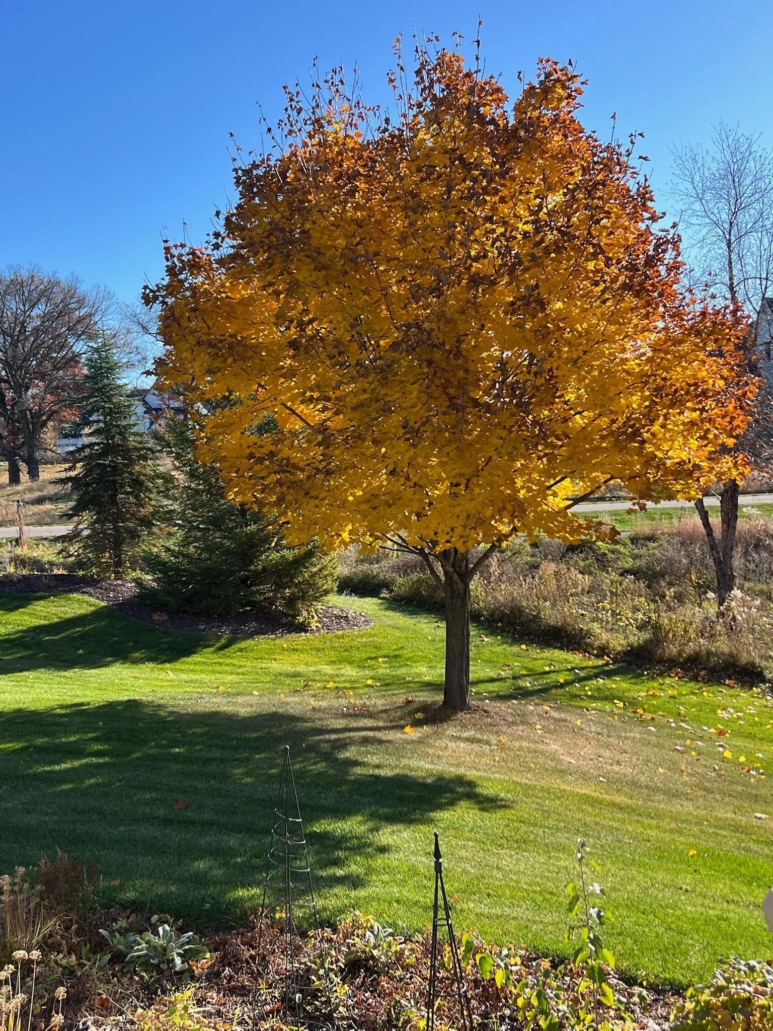 1430 25th Street Houlton, WI 54082 - Photo 74 of 80