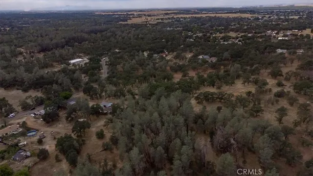a view of dirt yard with a tree