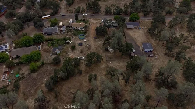 a view of a yard in a forest