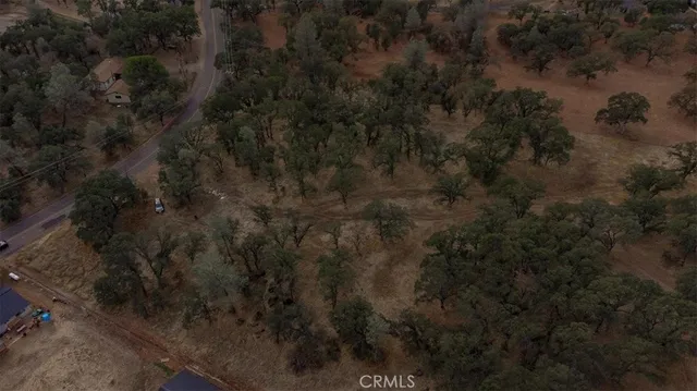 a view of a covered with trees in the background