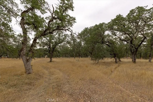 a view of a city with lush green forest